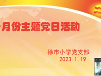 徐市小学党支部一月份主题党日活动